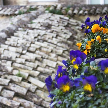 Le Violette Villa มาเตรา ภายนอก รูปภาพ